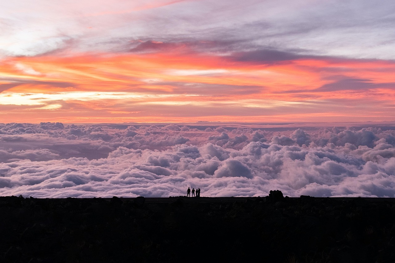 IVF in Hawaii: What Makes Hanabusa IVF a Leading Choice for Fertility Patients